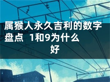 属猴人永久吉利的数字盘点  1和9为什么好