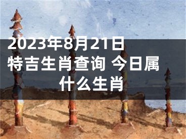 2023年8月21日特吉生肖查询 今日属什么生肖