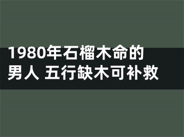 1980年石榴木命的男人 五行缺木可补救