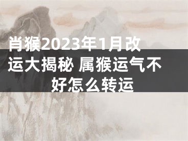 肖猴2023年1月改运大揭秘 属猴运气不好怎么转运