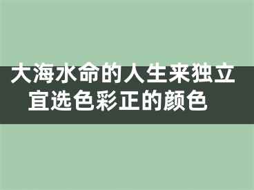 大海水命的人生来独立 宜选色彩正的颜色