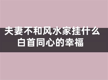 夫妻不和风水家挂什么 白首同心的幸福