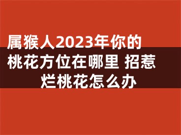 属猴人2023年你的桃花方位在哪里 招惹烂桃花怎么办