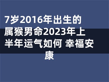 7岁2016年出生的属猴男命2023年上半年运气如何 幸福安康 