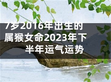 7岁2016年出生的属猴女命2023年下半年运气运势