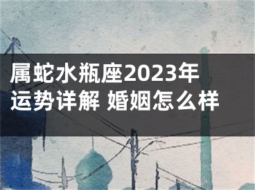 属蛇水瓶座2023年运势详解 婚姻怎么样