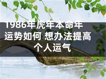 1986年虎年本命年运势如何 想办法提高个人运气