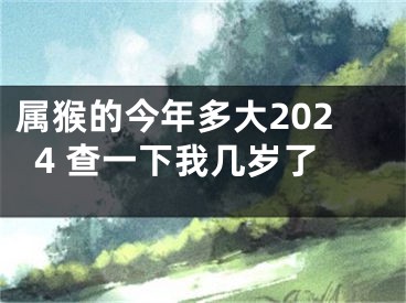 属猴的今年多大2024 查一下我几岁了