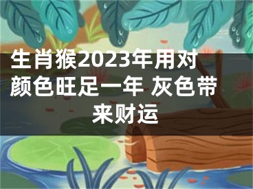 生肖猴2023年用对颜色旺足一年 灰色带来财运