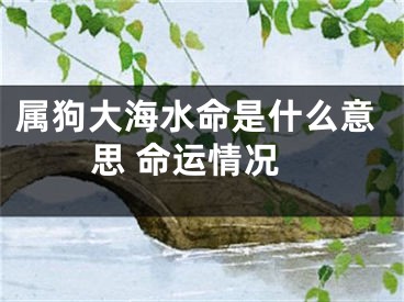 属狗大海水命是什么意思 命运情况