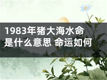 1983年猪大海水命是什么意思 命运如何