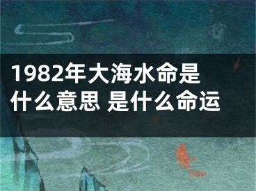 1982年大海水命是什么意思 是什么命运