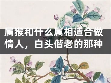 属猴和什么属相适合做情人，白头偕老的那种