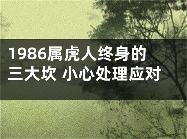 1986属虎人终身的三大坎 小心处理应对