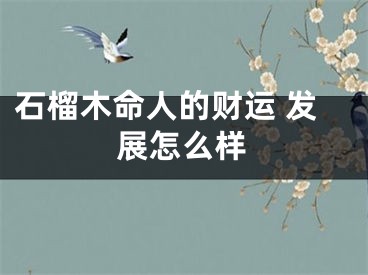 石榴木命人的财运 发展怎么样