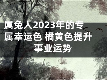 属兔人2023年的专属幸运色 橘黄色提升事业运势