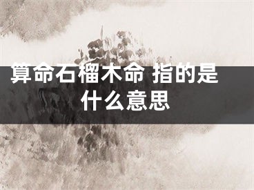 算命石榴木命 指的是什么意思