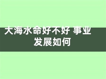 大海水命好不好 事业发展如何