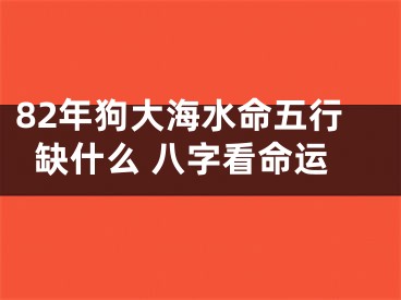 82年狗大海水命五行缺什么 八字看命运