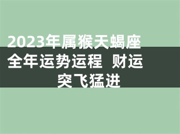 2023年属猴天蝎座全年运势运程  财运突飞猛进