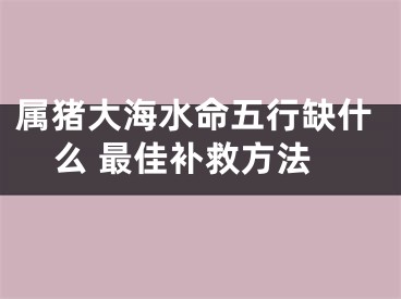 属猪大海水命五行缺什么 最佳补救方法