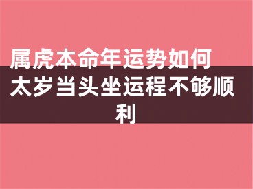 属虎本命年运势如何 太岁当头坐运程不够顺利