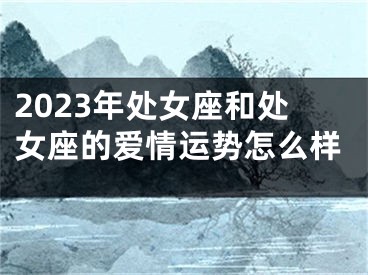 2023年处女座和处女座的爱情运势怎么样