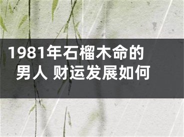 1981年石榴木命的男人 财运发展如何