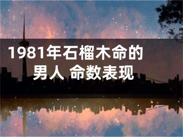 1981年石榴木命的男人 命数表现