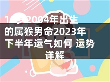 19岁2004年出生的属猴男命2023年下半年运气如何 运势详解