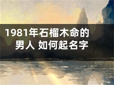 1981年石榴木命的男人 如何起名字