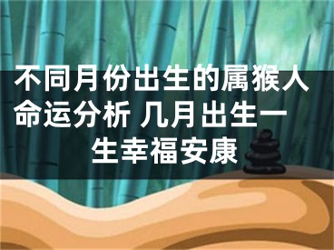 不同月份出生的属猴人命运分析 几月出生一生幸福安康