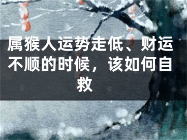 属猴人运势走低、财运不顺的时候，该如何自救 