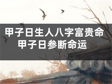 甲子日生人八字富贵命 甲子日参断命运