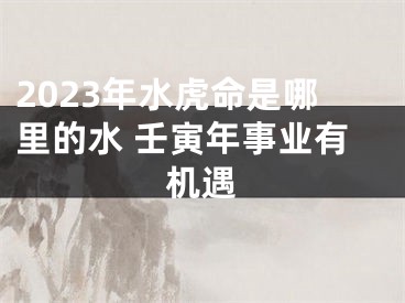 2023年水虎命是哪里的水 壬寅年事业有机遇