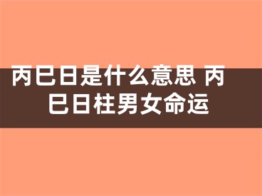 丙巳日是什么意思 丙巳日柱男女命运