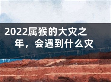 2022属猴的大灾之年，会遇到什么灾