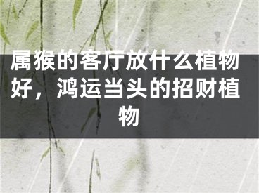 属猴的客厅放什么植物好，鸿运当头的招财植物