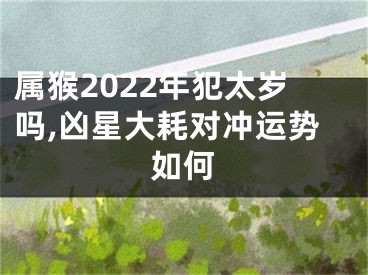 属猴2022年犯太岁吗,凶星大耗对冲运势如何