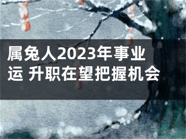 属兔人2023年事业运 升职在望把握机会