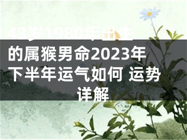 43岁1980年出生的属猴男命2023年下半年运气如何 运势详解