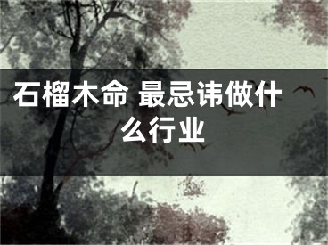 石榴木命 最忌讳做什么行业