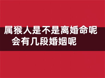 属猴人是不是离婚命呢 会有几段婚姻呢 