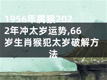 1956年属猴2022年冲太岁运势,66岁生肖猴犯太岁破解方法