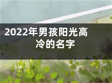 2022年男孩阳光高冷的名字