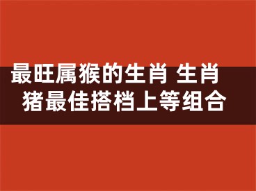 最旺属猴的生肖 生肖猪最佳搭档上等组合