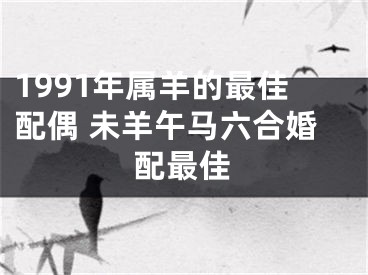 1991年属羊的最佳配偶 未羊午马六合婚配最佳