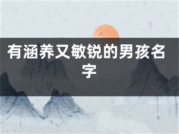 有涵养又敏锐的男孩名字