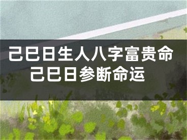 己巳日生人八字富贵命 己巳日参断命运