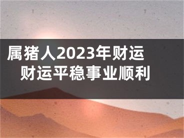 属猪人2023年财运 财运平稳事业顺利